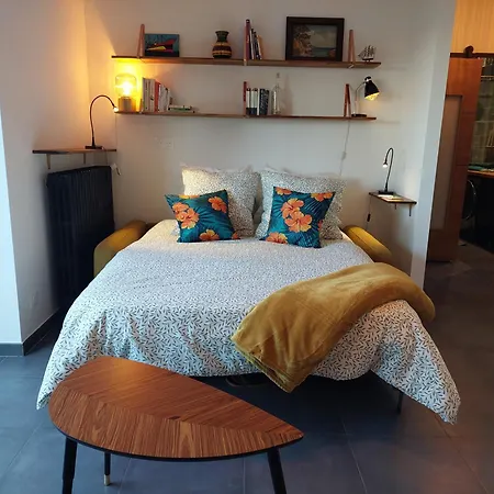 Apartment Grand Avec Terrasse A 20 M De La Nice